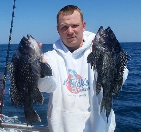 Maryland 2016 Black Sea Bass Regulations