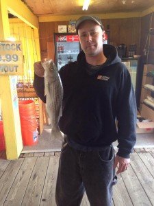 1690004_753846614752574_244221914824165278_n