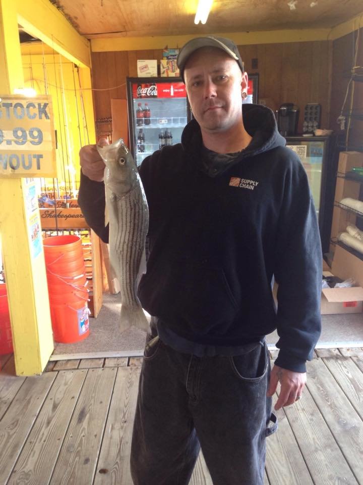 Stripers at the Oceanic Pier