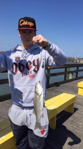 12039763_753846598085909_2256764360319713099_n