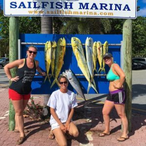 13001100_965496683500212_5940008113899236776_n