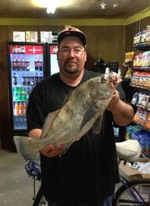 13100929_1080986365295334_7906766331727919779_n