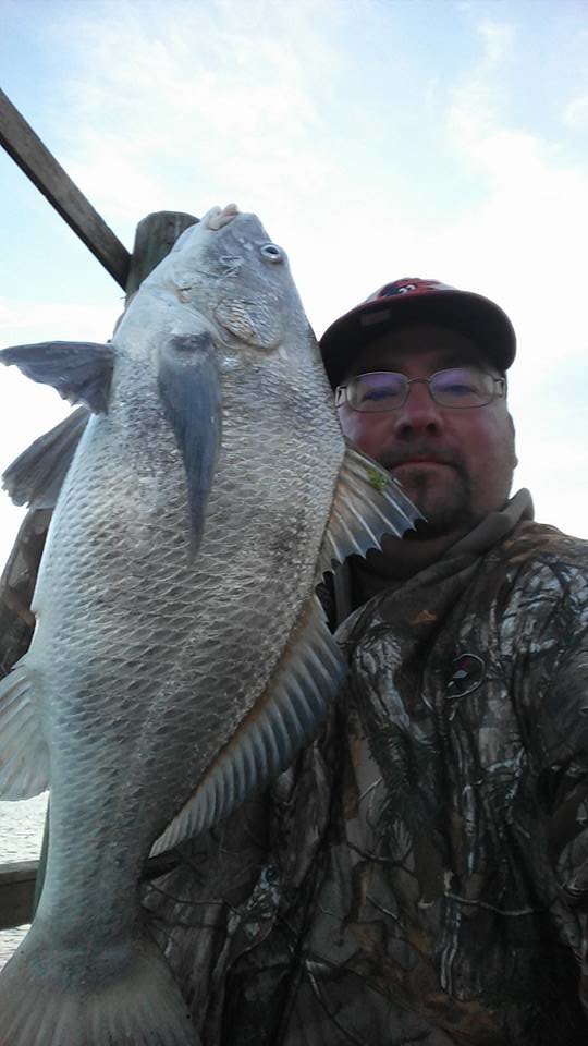 More Marli Stripers and Black Drum on the Oceanic Pier