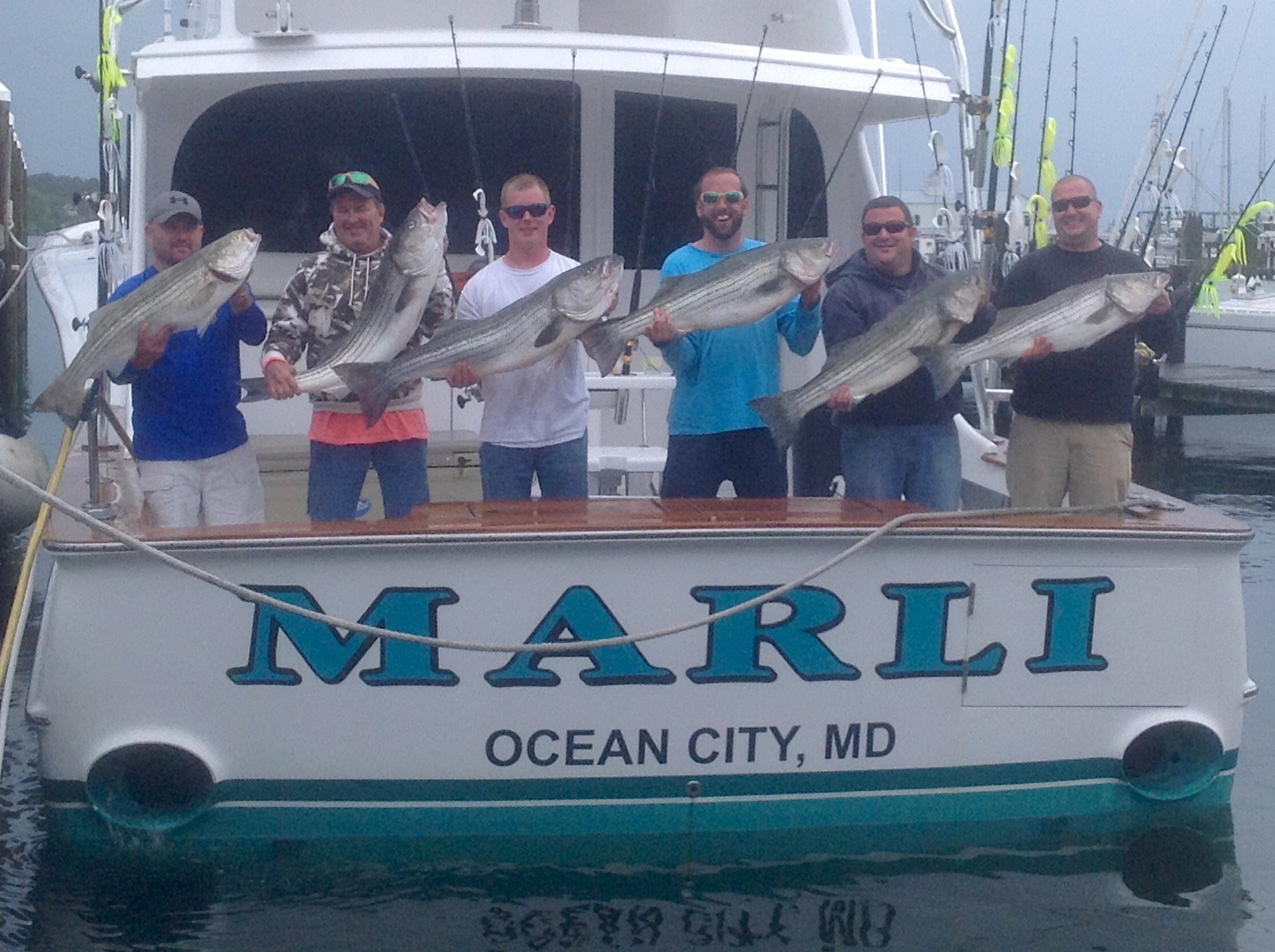 Marli Is On The Rockfish