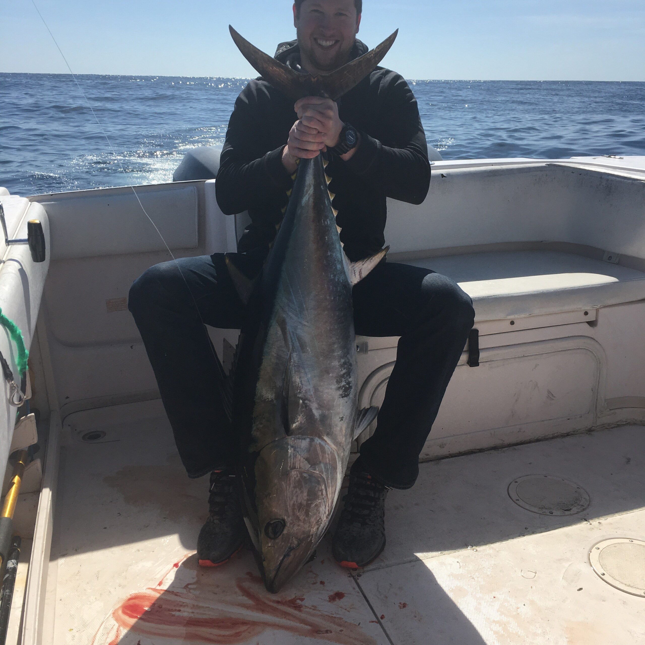 Bluefin in the Baltimore Canyon