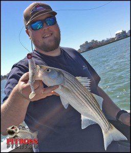 13064586_483758975167950_5870215771030191050_o