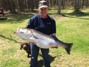 12993588_10206257561543949_3226486510392784480_n