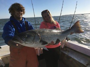 13041380_1183549691663126_2205772409906085965_o