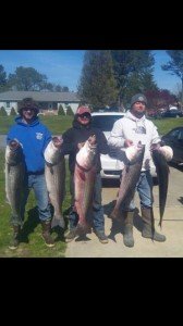 12998485_1183164691701626_5693232830678066037_n