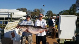 13062622_1413352192023788_1139802746_o