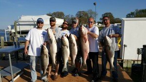 13062788_1413352718690402_184431637_o