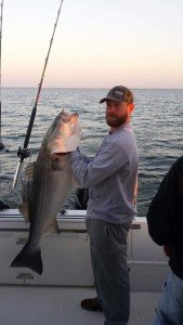 13022184_1413352402023767_186104979_n