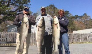 12992191_10208188023310716_1996702928_n