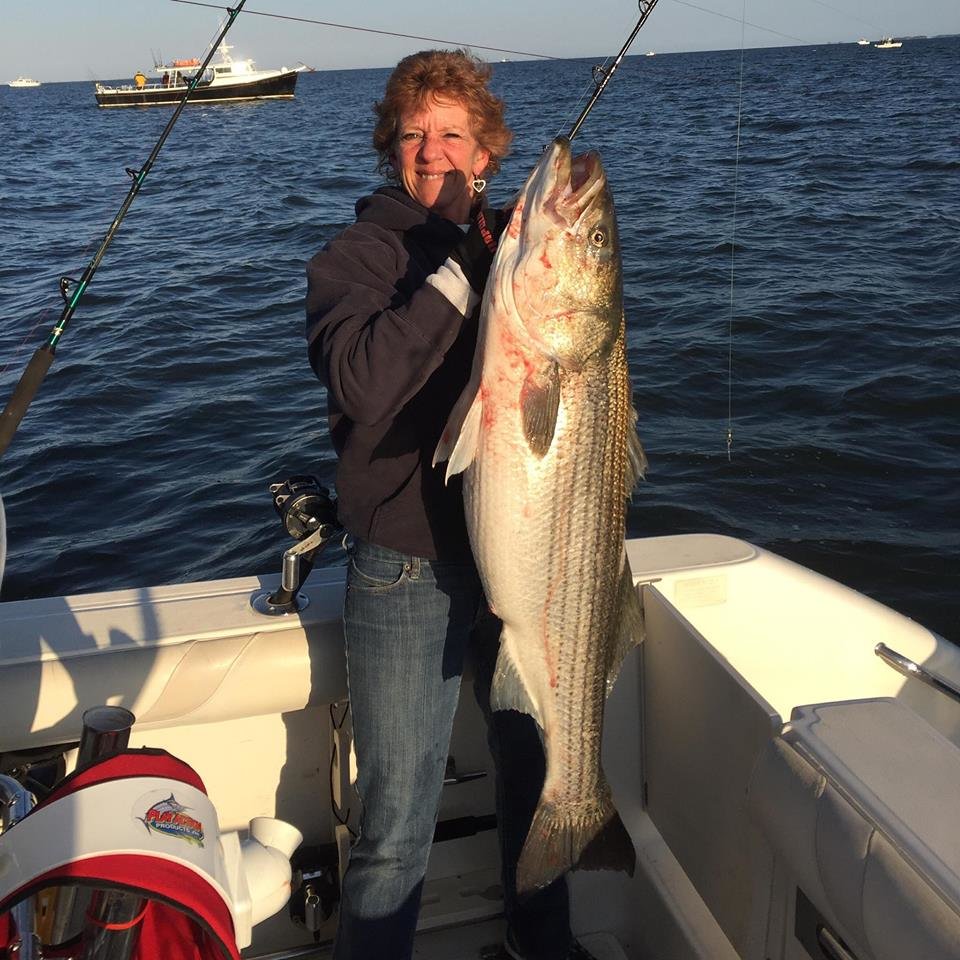 Chesapeake and OC Stripers