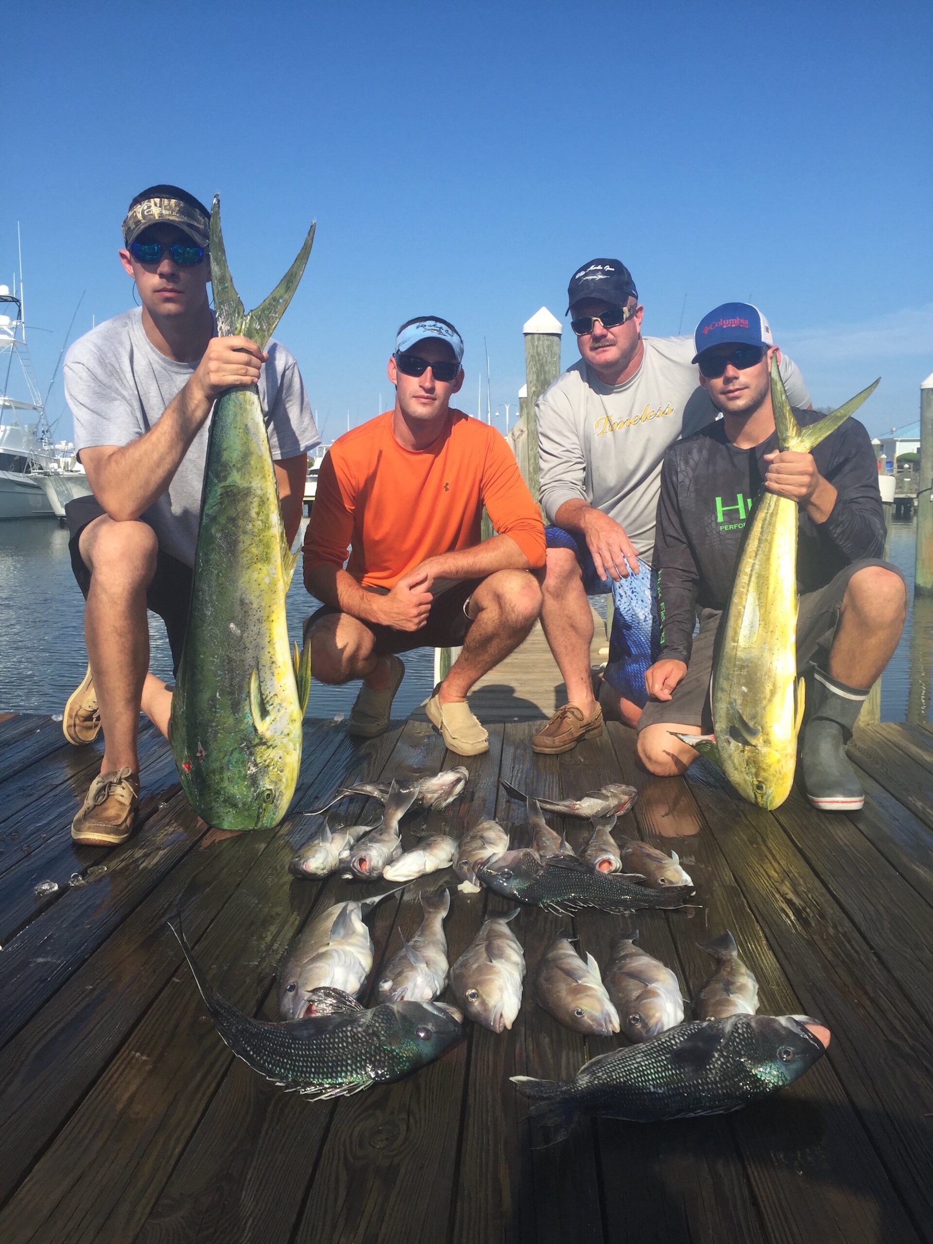 Mahi, Sea Bass and Tiles