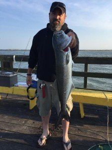 13343009_1023789524342485_7566314076985845171_n