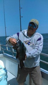 13265860_840514046054357_7469463862677498339_n