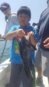 13321665_10157173876610105_8173567787017091626_n