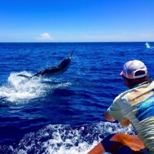 13321777_10153702318896448_6584149851454495286_n