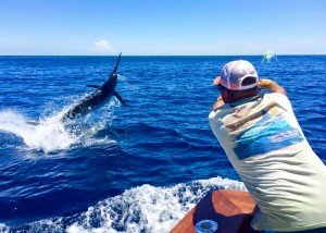 13335791_10153702318516448_5765511587643037754_n