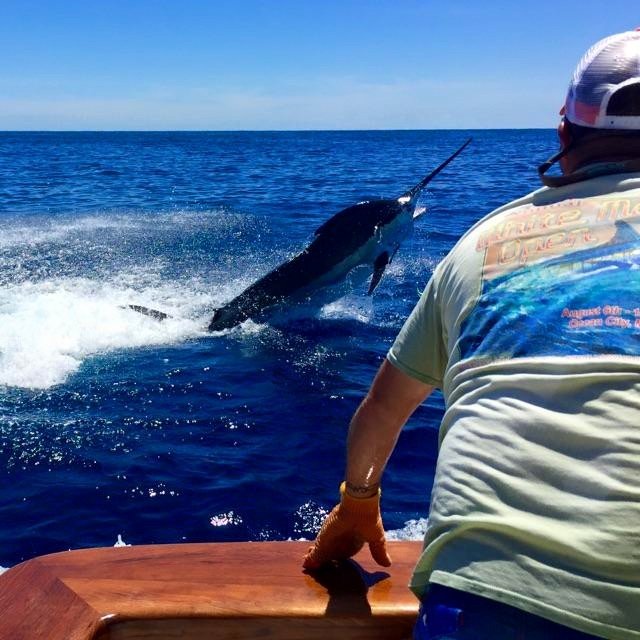 First Blue Marlin of the Season and Epic Tuna Fishing