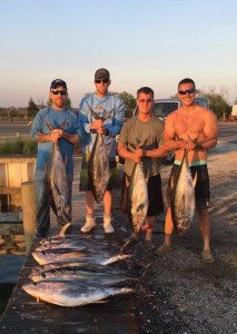 13267764_1069285766450693_2607217694530558519_n