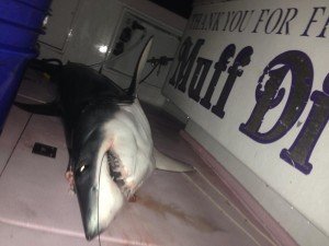 13274961_10207387189897134_372373251_o