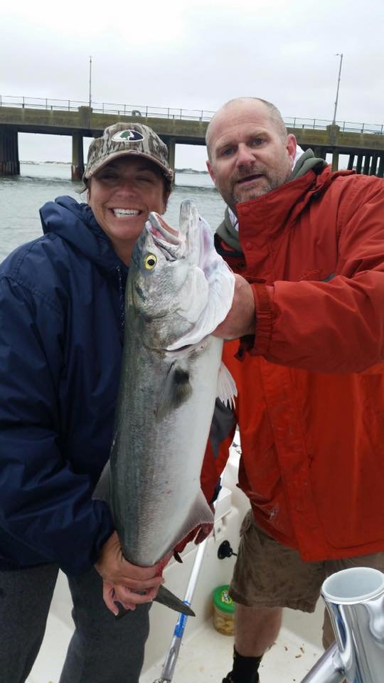 Crap Weather, Big Bluefish