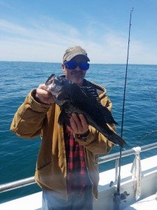 13254455_1428039703888189_562084358575585811_n