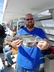 13239397_1428039587221534_1466359567248742084_n