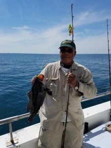 13220981_1428039620554864_5076255546908213656_n