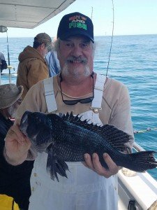 13221577_1428039653888194_5347552601341532361_n