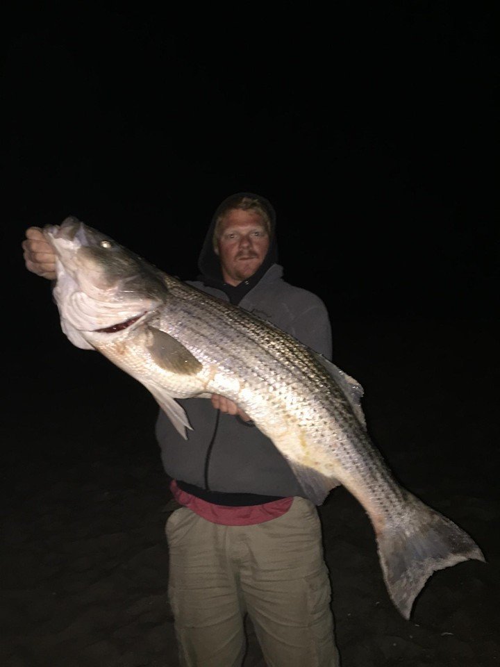 Slob Assateague Rockfish