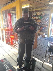 13230181_1014844861903618_6804193585931124697_n