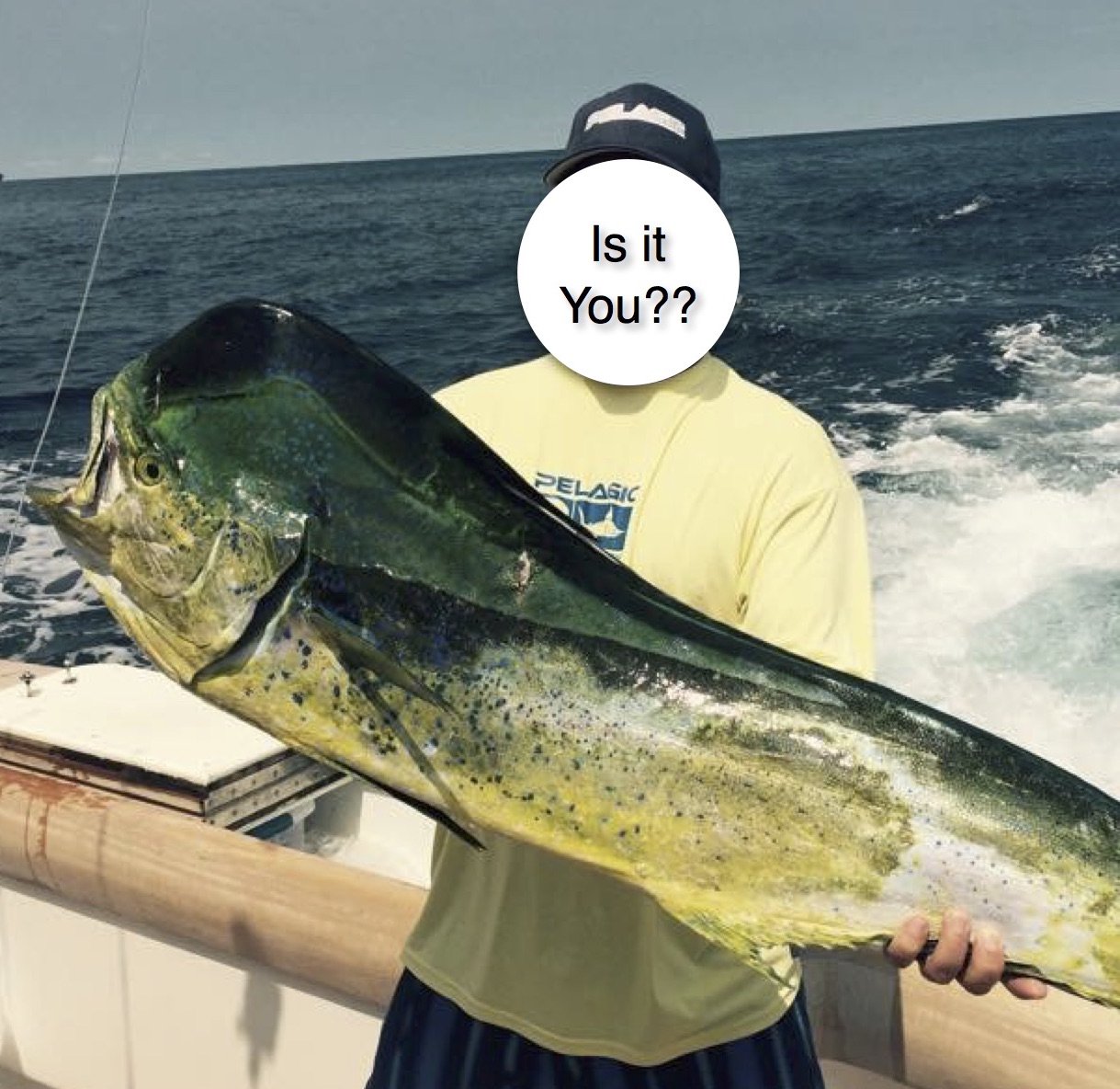 AND THE WINNER IS…….