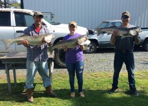 13227906_1226149520748961_1512571633_n