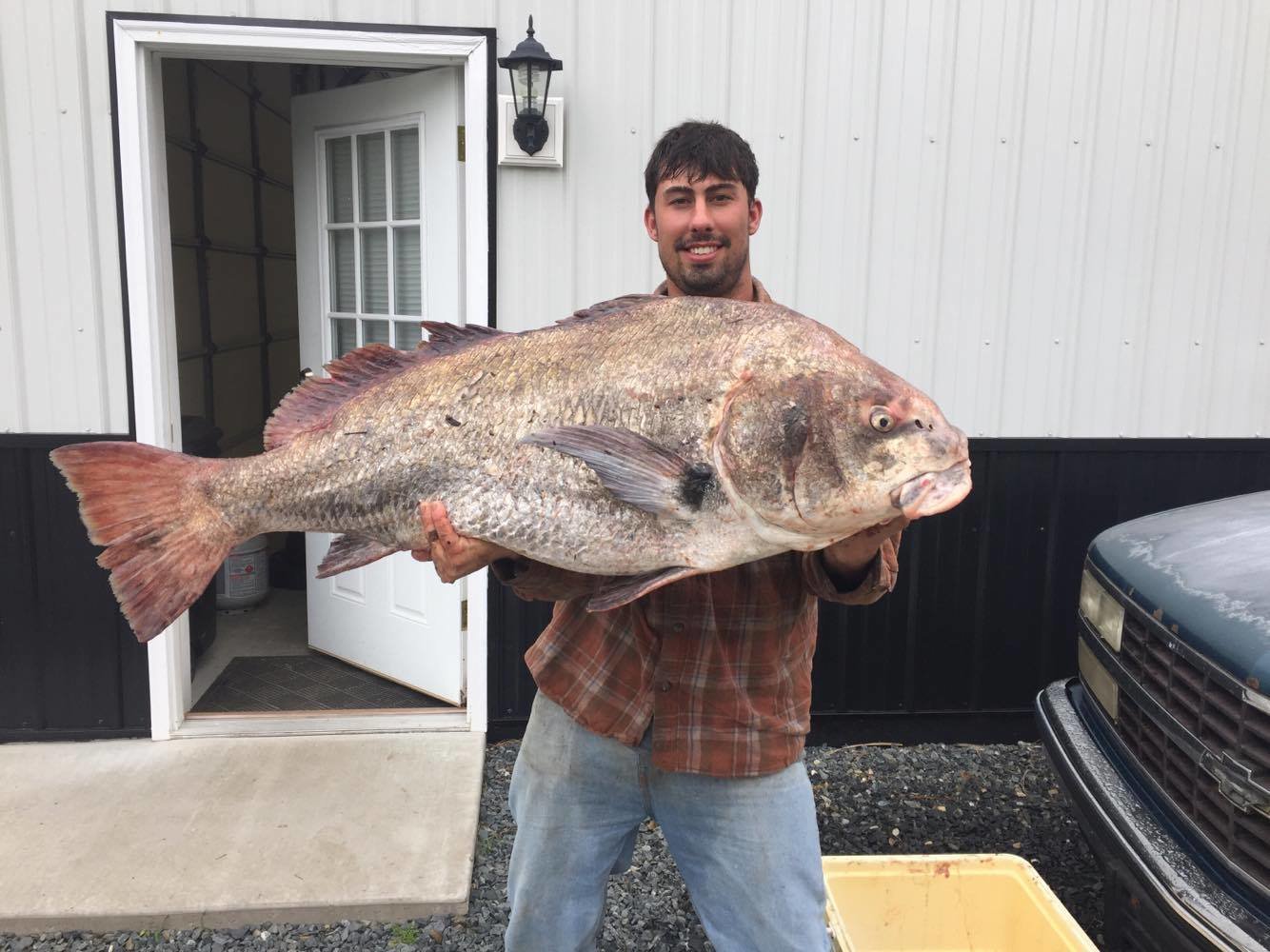 HUGE Black Drum