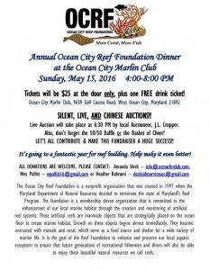 12814411_1014168708640092_5609242252506747919_n