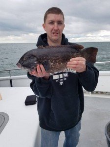 13177409_1416610771697749_7660879643401076629_n