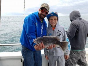 13177544_1416610738364419_3479241868923825010_n