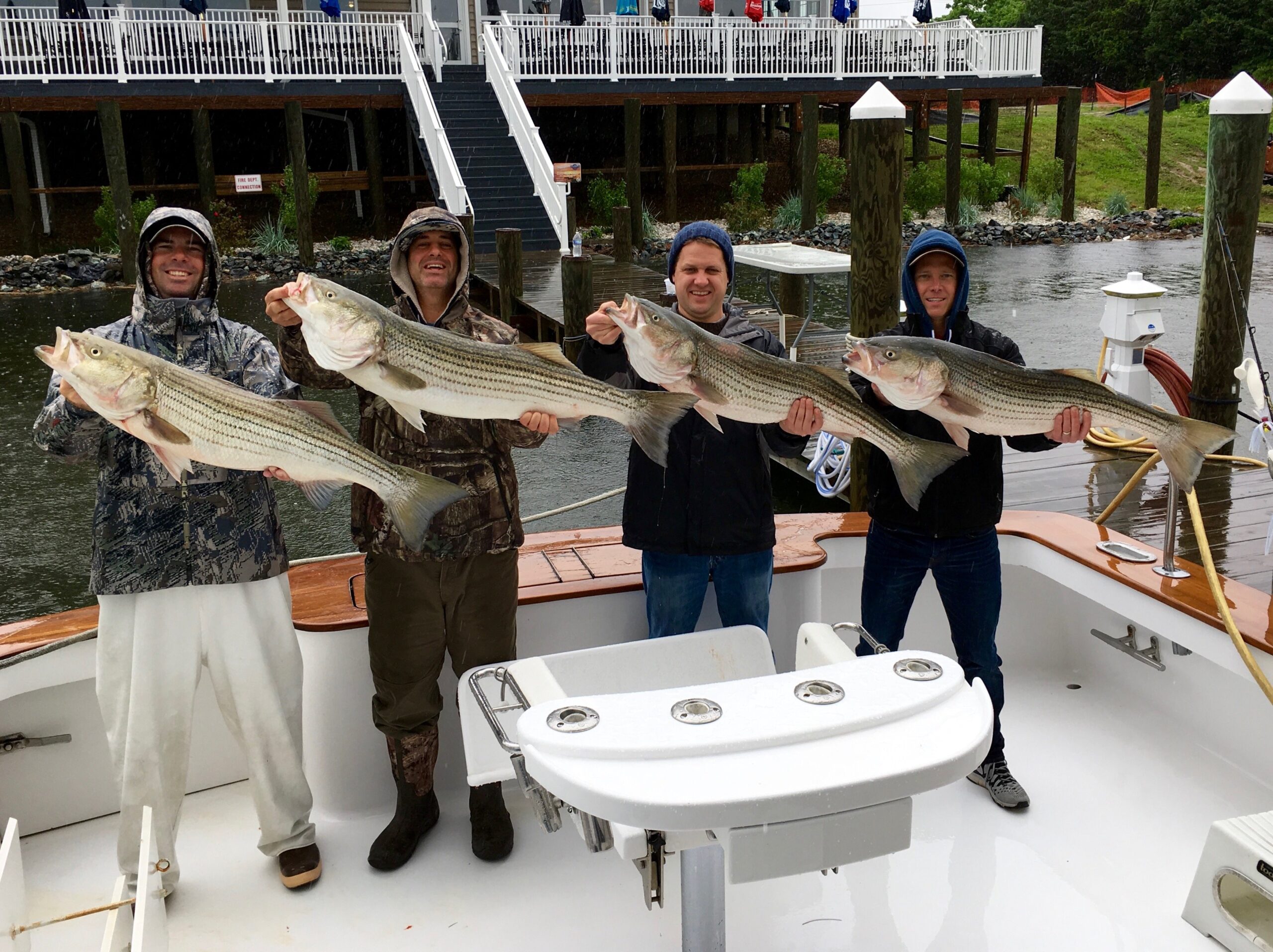 Braving the Elements