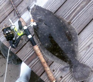 13091992_897673767010378_839009551039124421_n