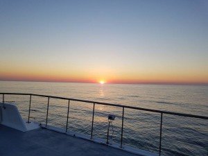 13557804_1461675097191316_9071349118873977574_n