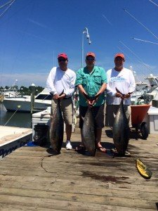 13590379_1006913542691859_2188554952991427163_n