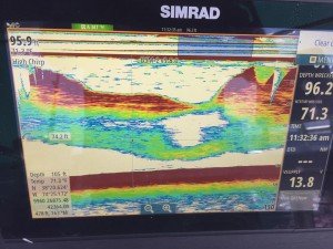 13521844_10207074824772478_3222882820623723822_n