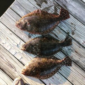 13516317_10157074656340156_7282624770061652871_n