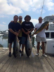 13516382_1006295989420281_2163156692608889276_n