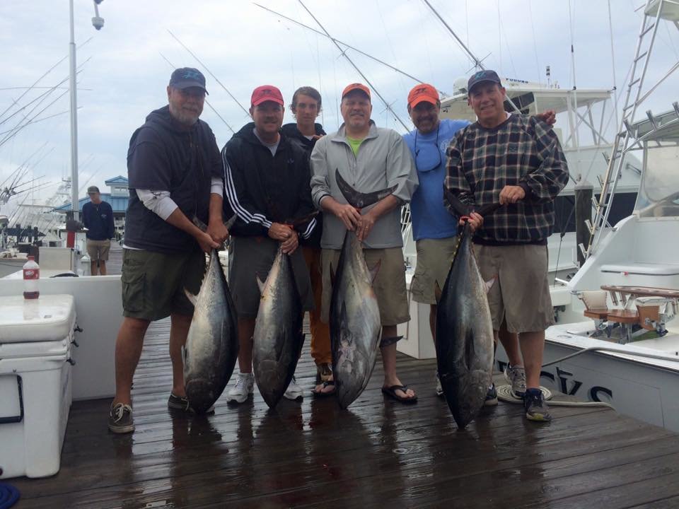 Bluefins