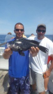 13529169_10157298031795105_6694986221246233472_n