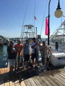 13495210_1746617365556446_7725706526770472778_n